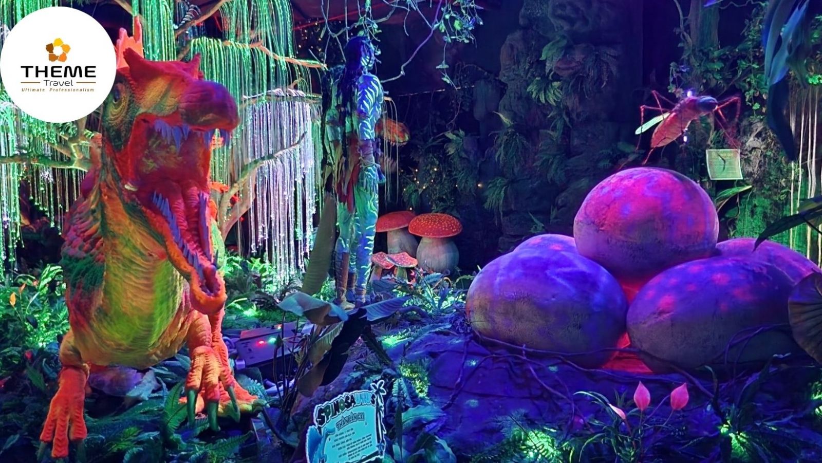 tour tham quan thành phố ánh sáng Jazzy Paradise - tour học sinh